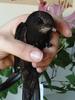 Benutzerbild von Nervens�ge