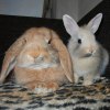 Benutzerbild von Panki