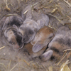 Benutzerbild von Passy