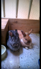 Benutzerbild von Penny&Sky