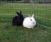 Benutzerbild von PietundOskar