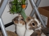 Benutzerbild von Pippi&Stupsi