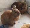 Benutzerbild von Piwi