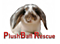 PlushBall Rescue