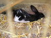 Benutzerbild von Polly2006