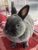 Benutzerbild von PollyBrow