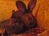 Benutzerbild von r�be79