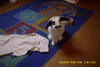 Benutzerbild von Rabbit98