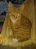 Benutzerbild von ritter