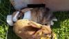 Benutzerbild von Sarah&L+L's