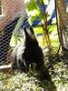 Benutzerbild von Schnuckelh�schen