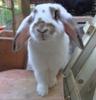 Benutzerbild von Silma