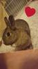Benutzerbild von snoops