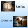 Benutzerbild von Sporti&Pauline