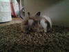 Benutzerbild von Stella2012