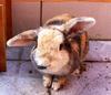 Benutzerbild von Sunny09
