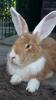 Benutzerbild von Sunny81