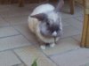 Benutzerbild von Sunny97