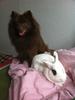 Benutzerbild von Suou