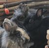 Benutzerbild von susithormann