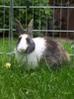Benutzerbild von Sweety