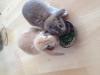Benutzerbild von Tammy&Fridolin