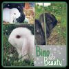 Benutzerbild von tauruslady83