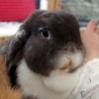 Benutzerbild von Theolotta