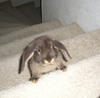 Benutzerbild von Toffi