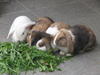 Benutzerbild von Twinky