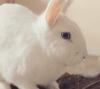 Benutzerbild von vanessa252