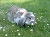 Benutzerbild von Widder-Jessy