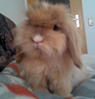 Benutzerbild von Willi