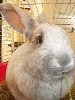 Benutzerbild von Willinchen01