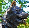 Benutzerbild von Wolf-Bold