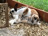 Benutzerbild von Wurzel und M�hre