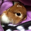 Benutzerbild von Yamina