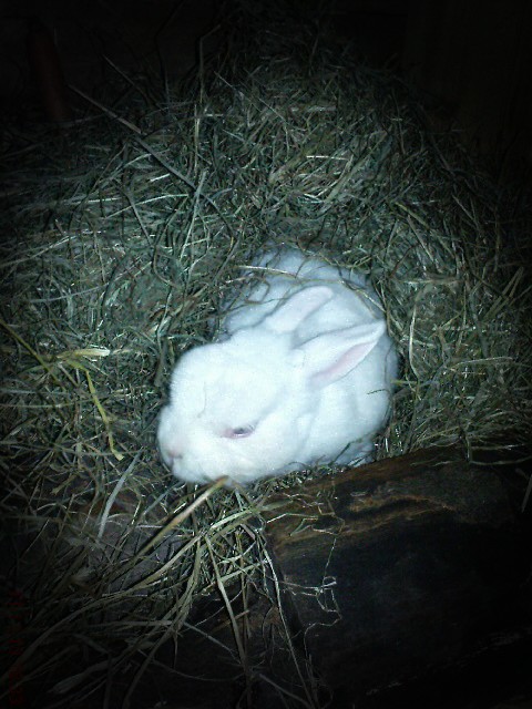 Gem�ltich ...oder ???
PS:Vermisse dich meine Gro�e :'(