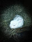 Gem�ltich ...oder ??? 
PS:Vermisse dich meine Gro�e :'(