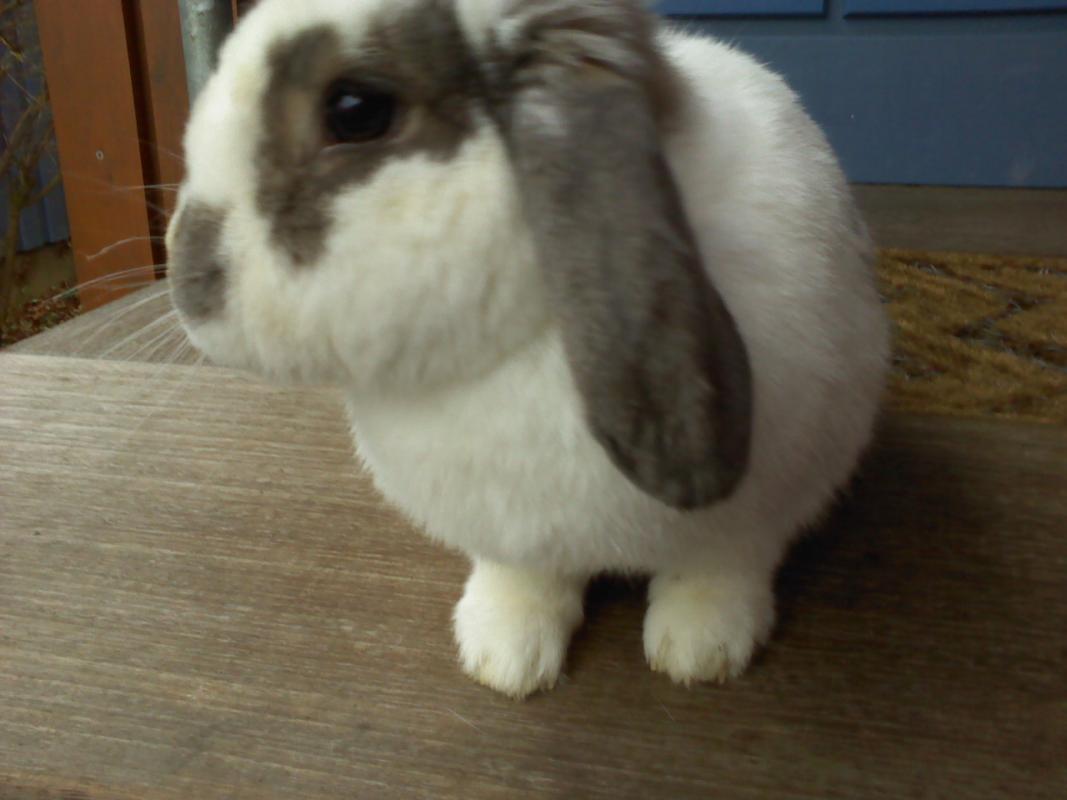 DSC0000385