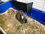 kleine Lilly, nur 3 Monate alt