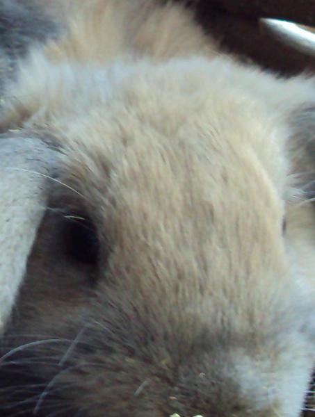 so ein h�bsches gesicht