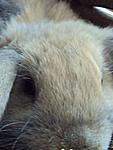 so ein h�bsches gesicht