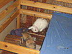 IMG 0637
