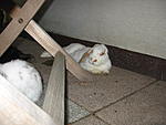 Angel am chillen :)