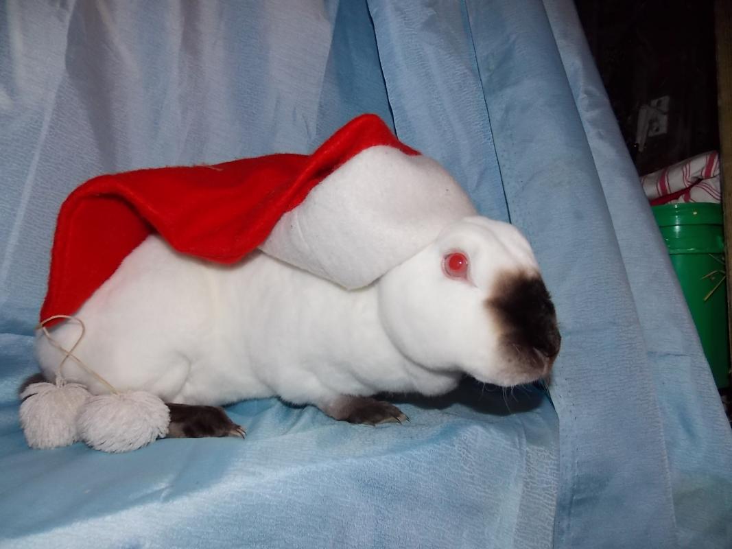 Schneewittchen