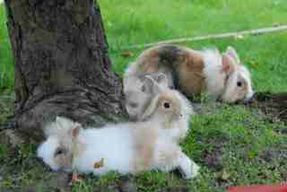 Gruppenpause