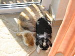 Caju und Maggie