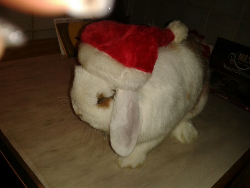 IMG 20131118 WA0000