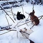 Winter 2016